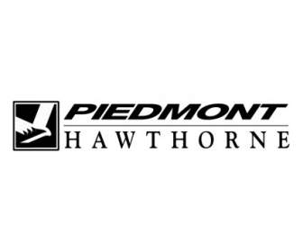 Piemont Hawthorne