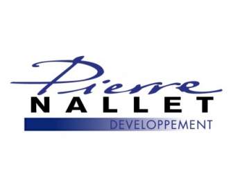 Pierre Nallet Développement