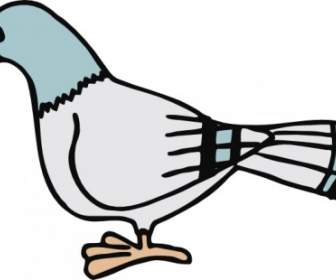 Clipart De Pigeon