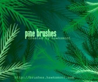Pine Brushes Mega Pack
