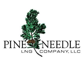 Pine Needle
