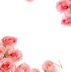 Pink Bouquet Of Roses Picture