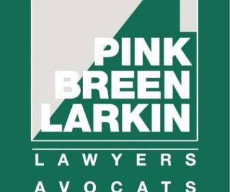 Pink Breen Larkin