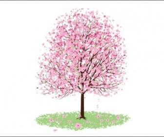 Rosa Kirschblüten Baum