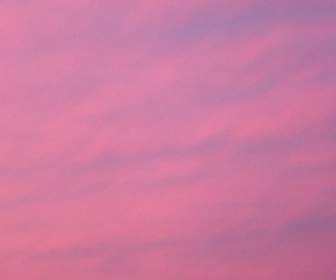 Pink Evening Sky