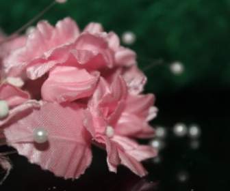 粉紅色的花