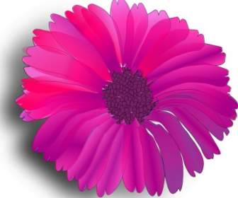 Bunga Pink Clip Art