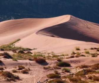 Rosa Sand Dune Utah Stati Uniti D'America