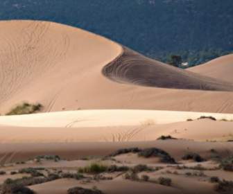 Pink Sand Dunes Utah Usa