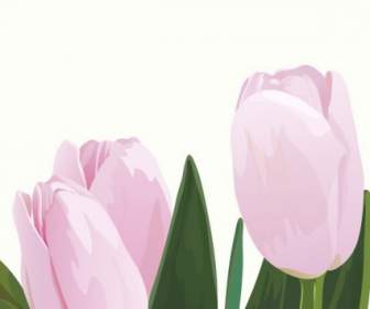 Pink Tulips Vector