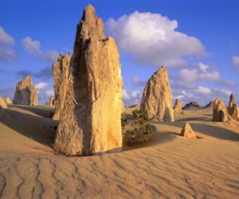 피너 클 스 사막 벽지 호주 세계