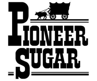 砂糖の先駆者します。