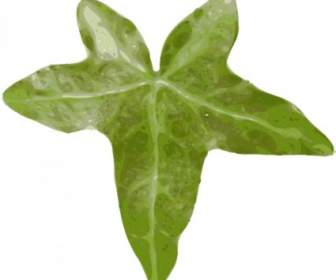 식물 잎 클립 아트