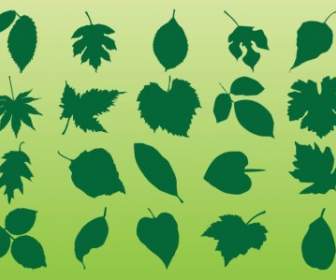 Pflanze Blätter Vektoren
