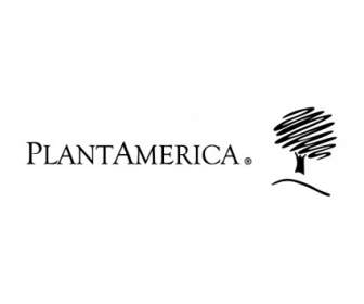 Plantamerica