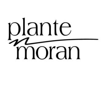 โมแรน Plante