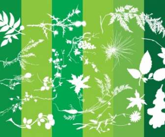 Pflanzen-Silhouetten-Natur-Grafiken