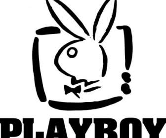 Playboy Logo2