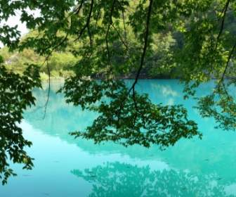 Плитвицкие озёра голубой воды Хорватии