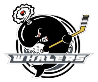 Whalers De Plymouth