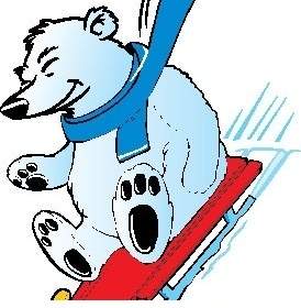 Polar Bear Sledding