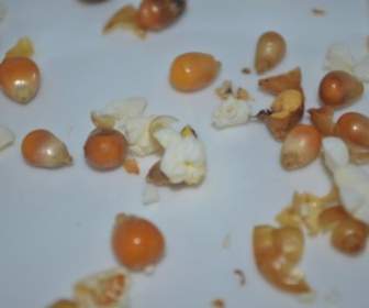 Popcorn Remnant