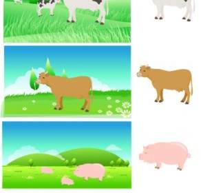 Schweinefleisch Rindfleisch Teile Des Vektors Karte Zersetzung