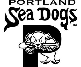 Portland Mare Cani