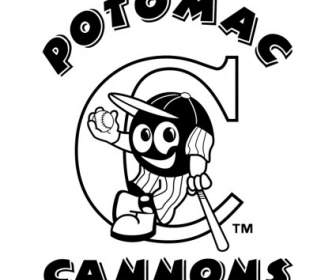 Potomac Cannons