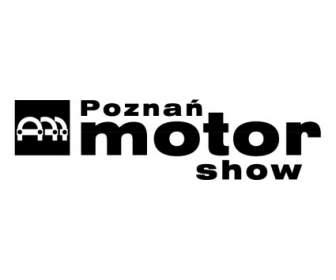 Salón Del Automóvil De Poznan