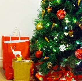 Presents Under The Christmas Tree
