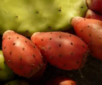 Prickly Pear Cactus Figs