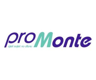 Monte Pro Gsm