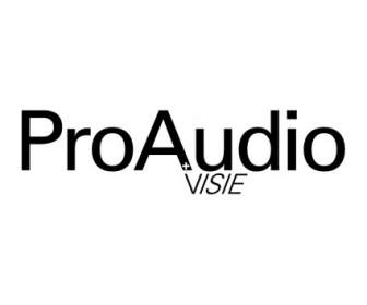 ProAudion Visie