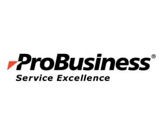Probusiness Services