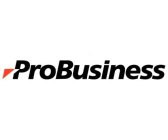 Probusiness Services