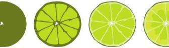 Limes Progressives