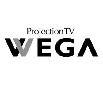 Projection Tv Wega