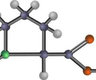 Proline Amino Acid