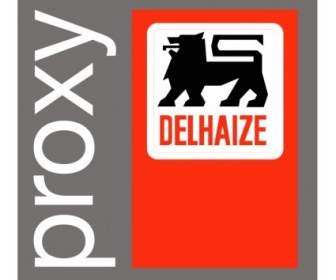 Delhaize Serwera Proxy