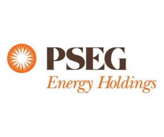 Pseg Energy Holding