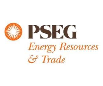 Pseg エネルギー貿易のリソース