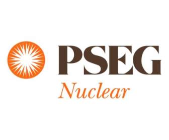 PSEG ядерной