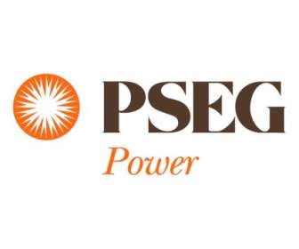Poder PSEG