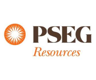 PSEG Ressourcen