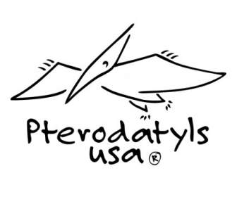 สหรัฐอเมริกา Pterodatyls