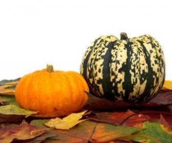 Pumpkins And Leaves On White