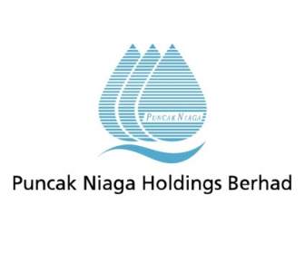 Puncak Niaga Holdings