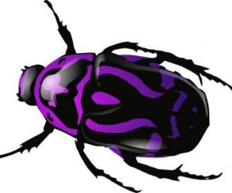 Purple Beetle Clip Art