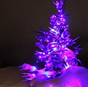 紫色のクリスマス ツリー